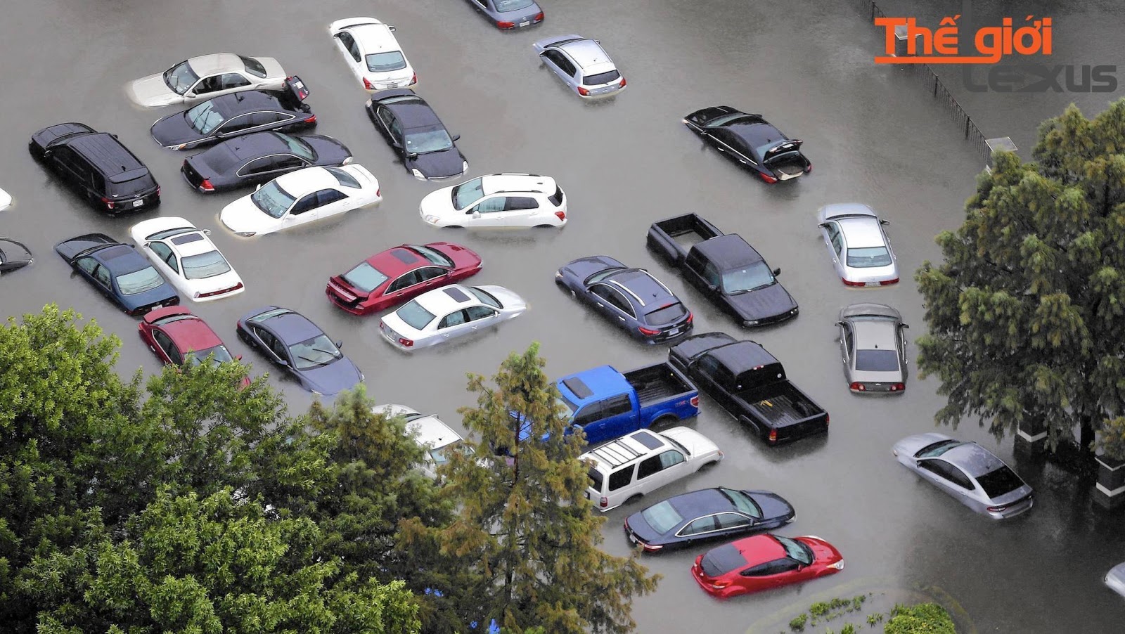 Xe ô tô ngập nước gây thiệt hại rất lớn
